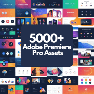 adobe premiere pro assets