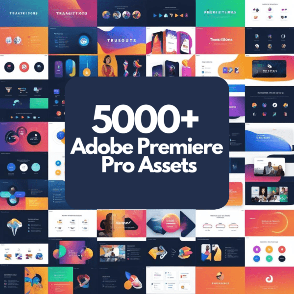 adobe premiere pro assets