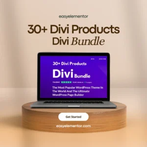 Divi Bundle 3